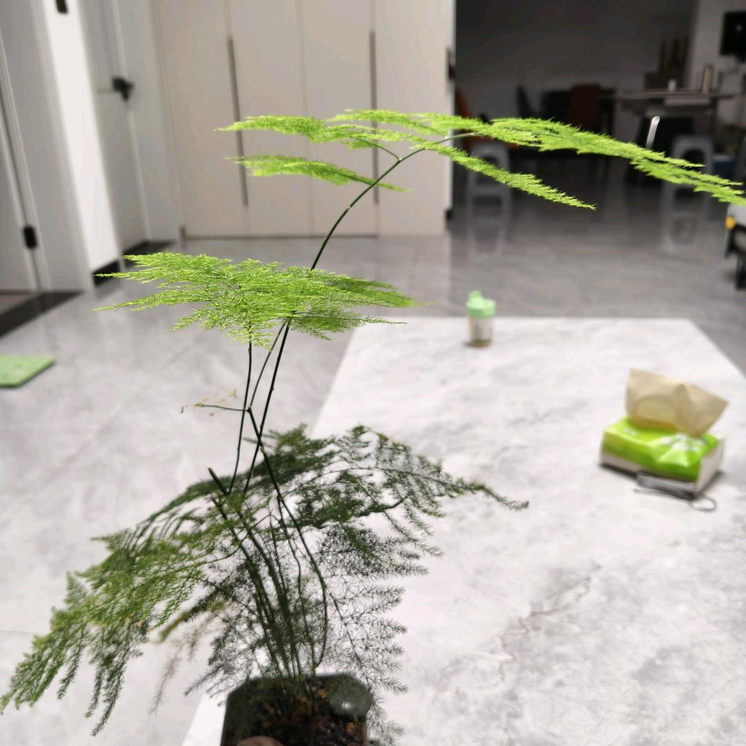 大海蓝天