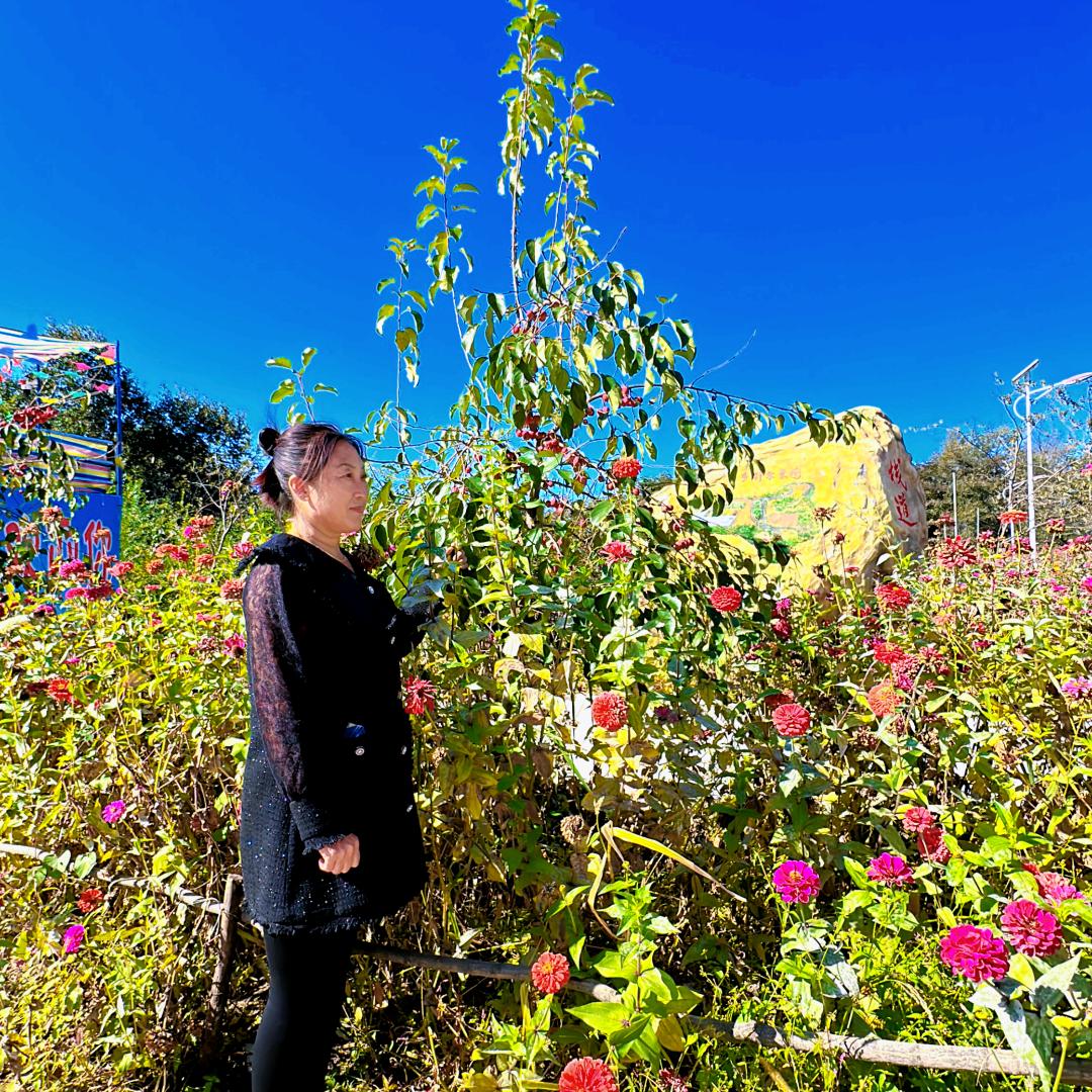 李凤芝