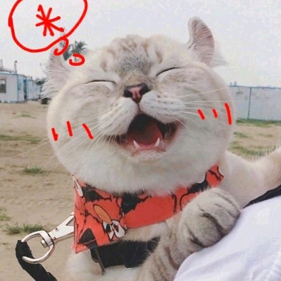 李南北和王东西