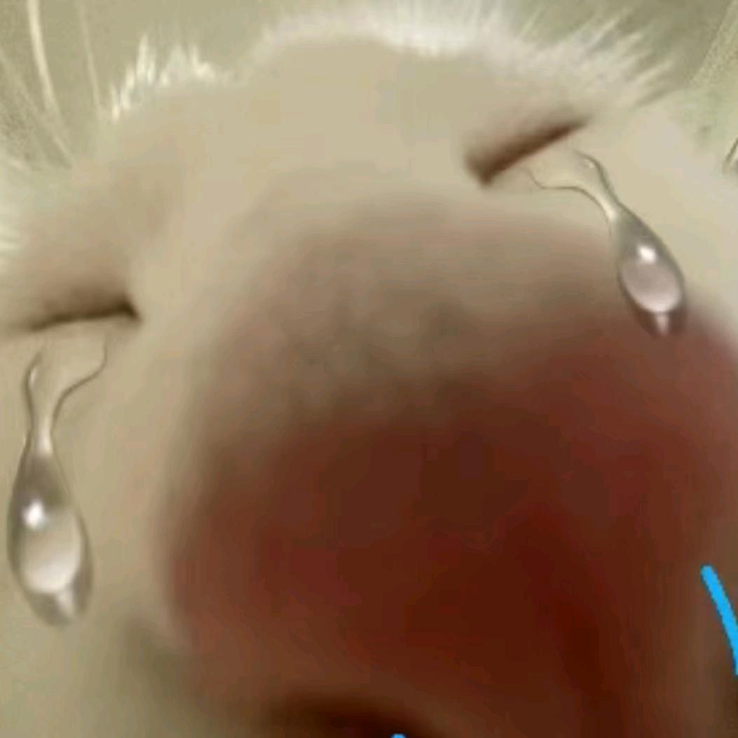 糕手小张.