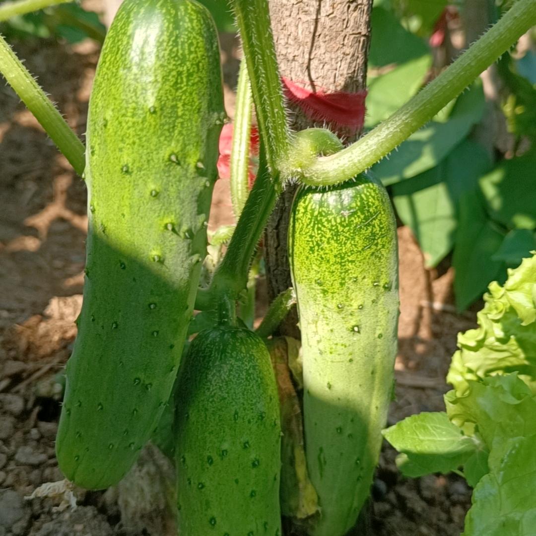 余生过好每一天