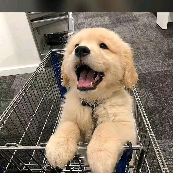 人若有情天亦老