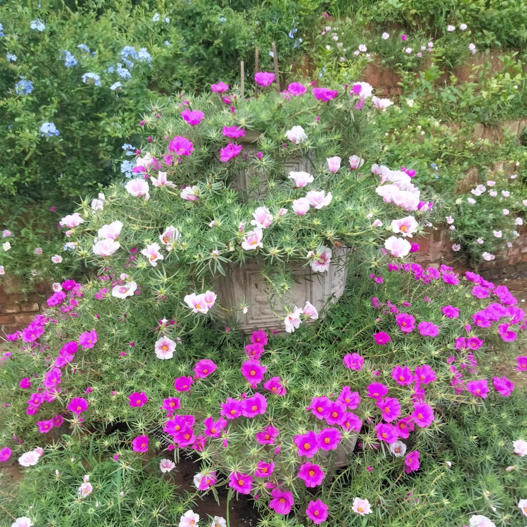 我的心里只有你