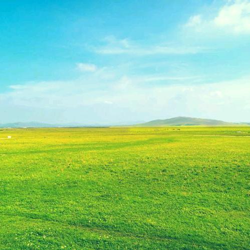 💓ღ᭄ꦿ幸福一家এ⁵²º᭄