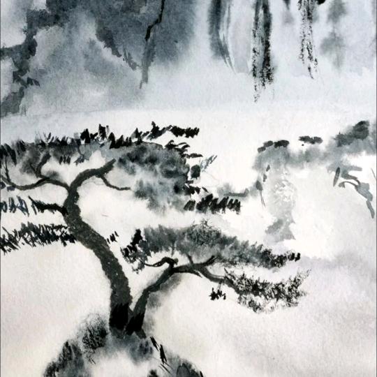 昭涔头像