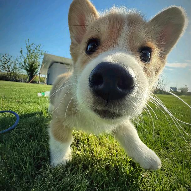 科目一二三四一次郎