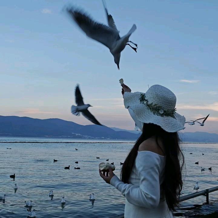 不是小Zhu