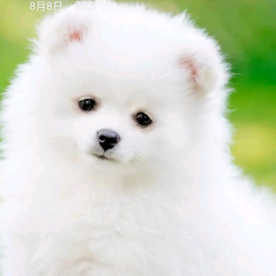 天若有情亦无情