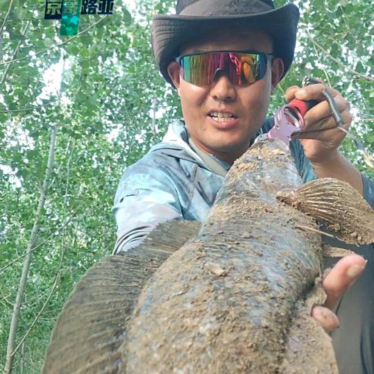 铁臂路亚手🎣🎣🎣