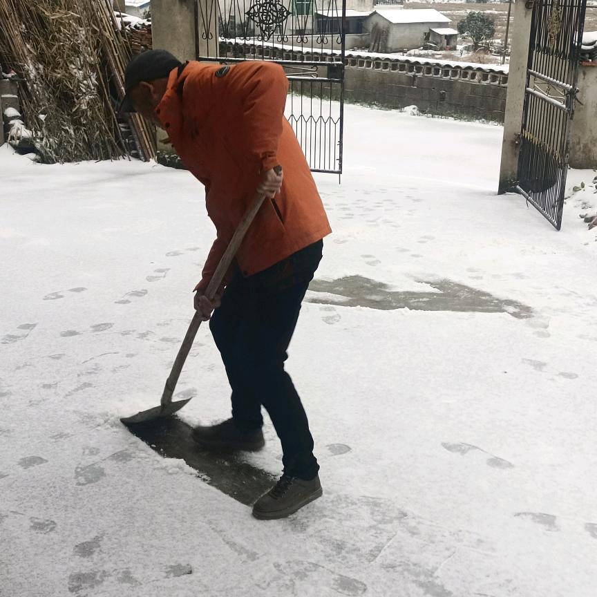 因果有緣