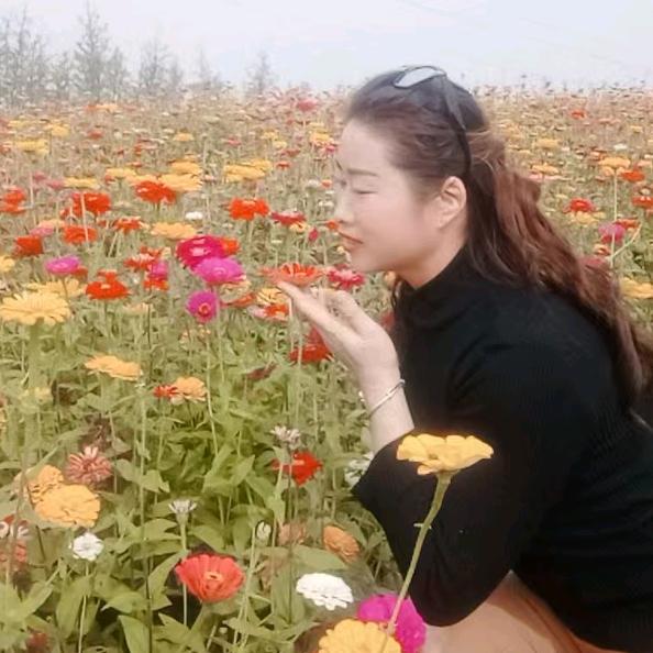 做自己的太阳