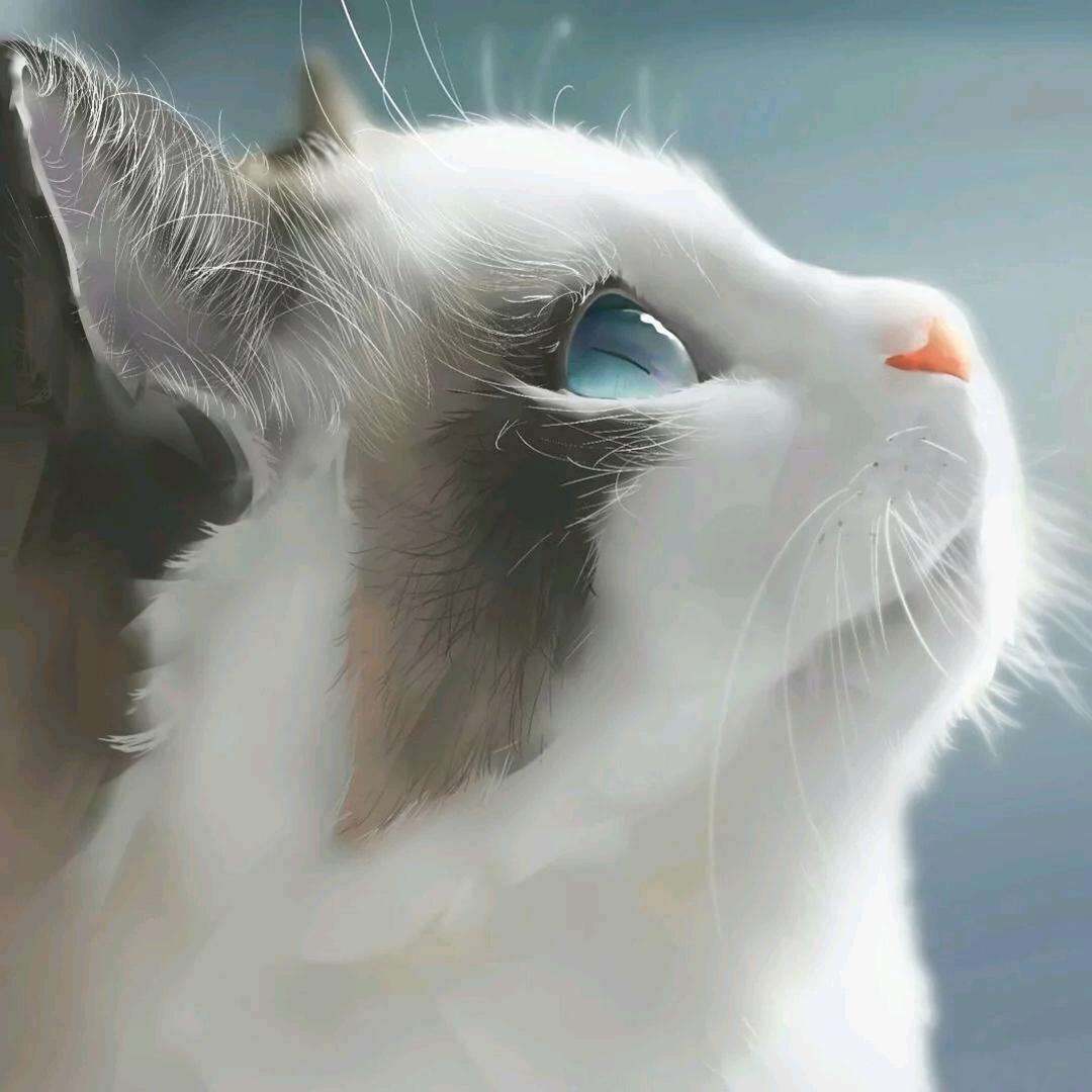 是阳阳啊