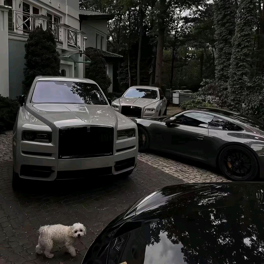 龙💰