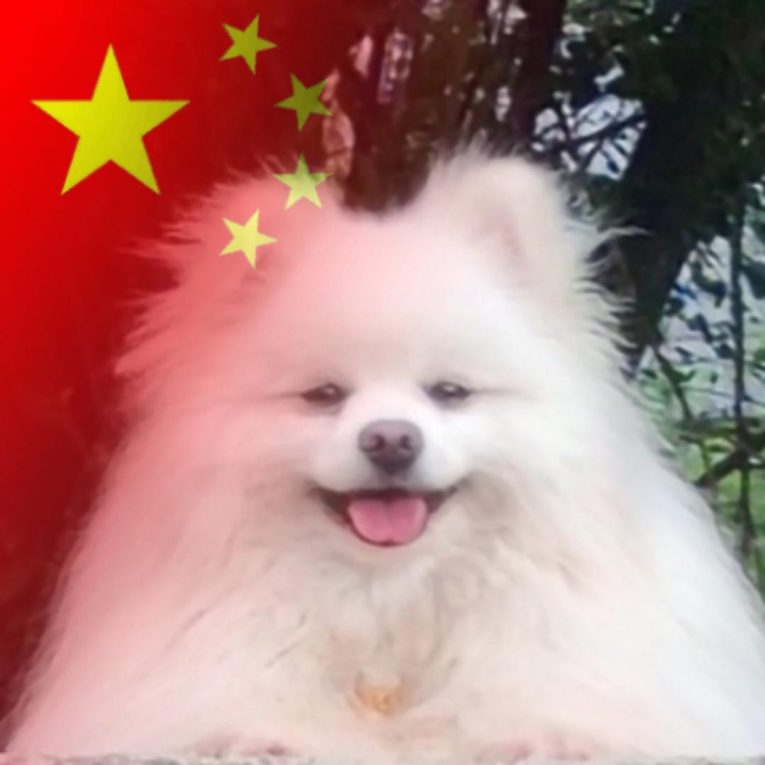 ༺༼惟善最樂Su肆零鸿༽༻