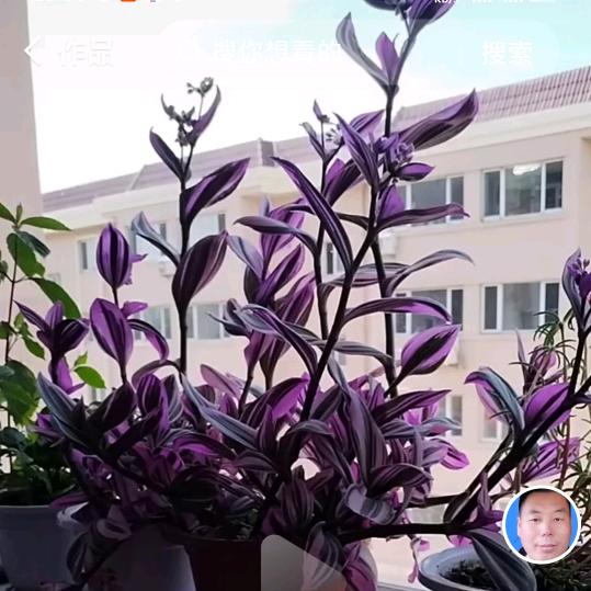快了