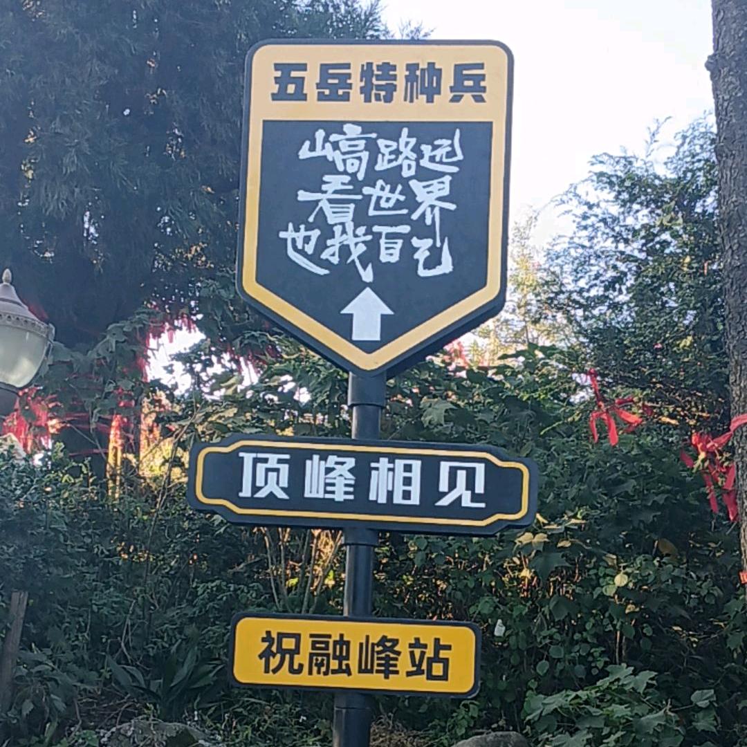 丢了幸福的🐖猪
