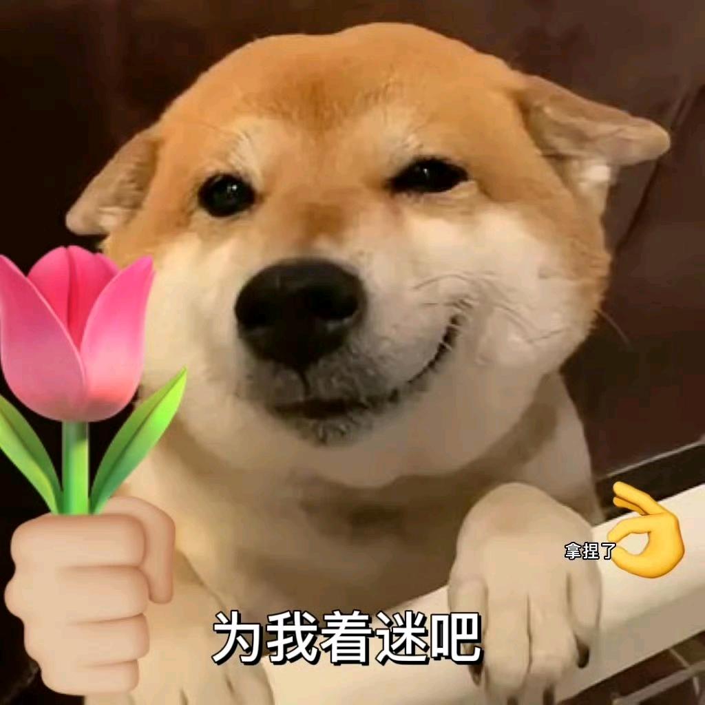 方小文