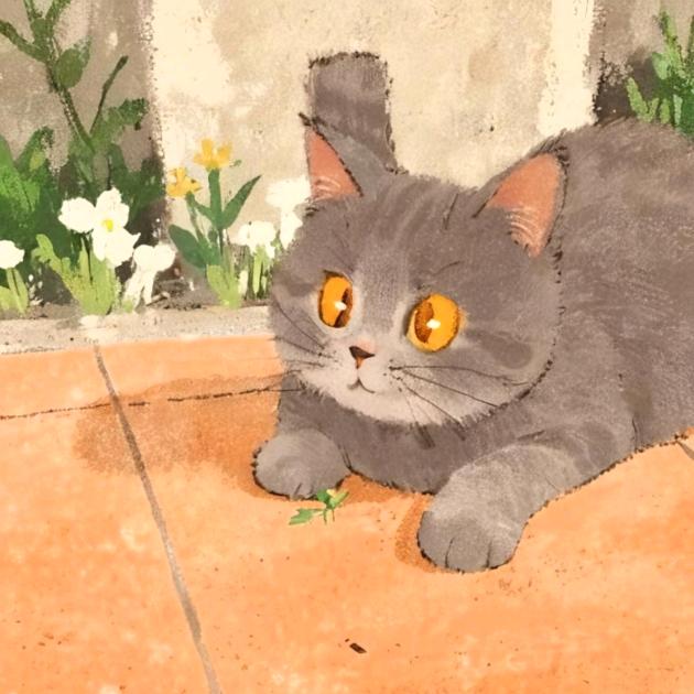 🐱喵灰灰