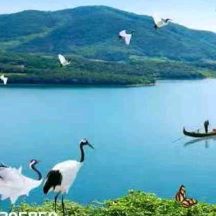 手机用户2713187335