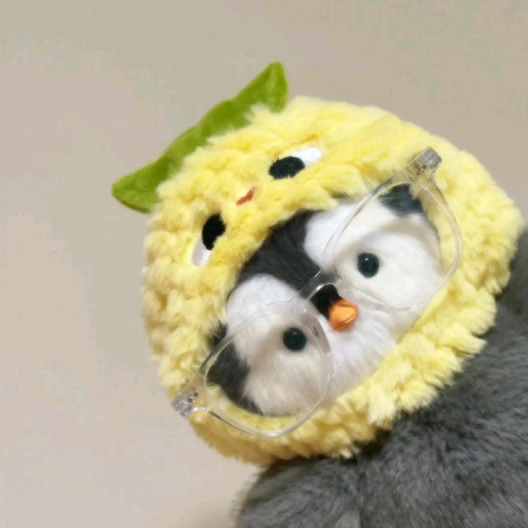 可子（有关必回）