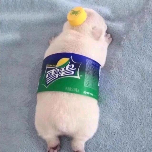 🌈脑瘫收容所（李院长）