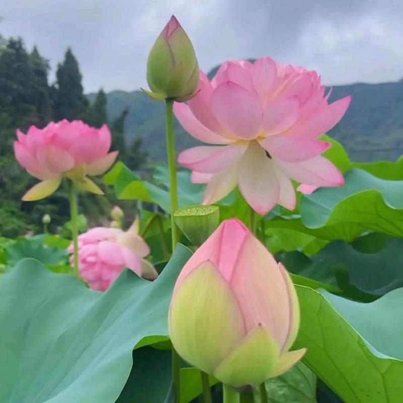 安静的坐在一角∠静静思量……欧米茄Ω
