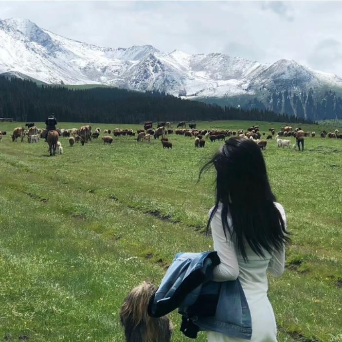 升学指导刘老师