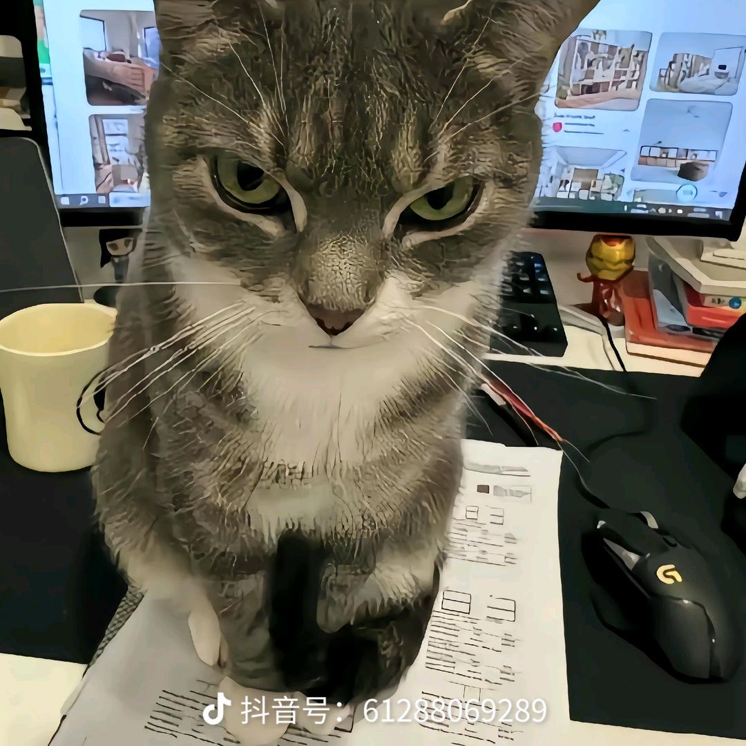 修熊
