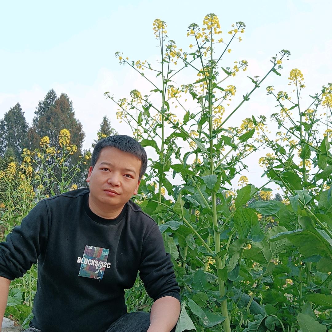 骑着马儿去赶集