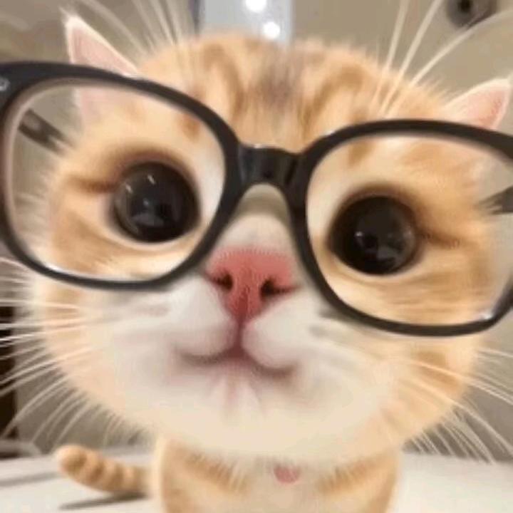 💞徐ꦿ你一生꧔ꦿꦿ࿐