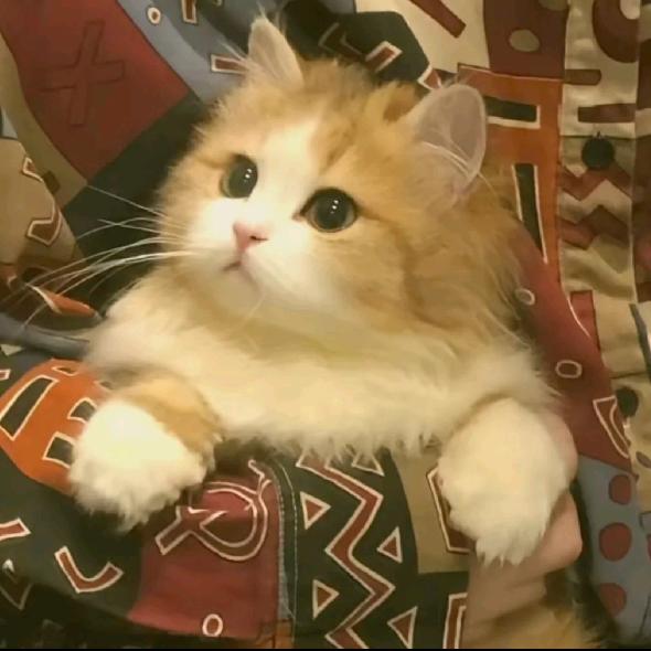 悄然已至