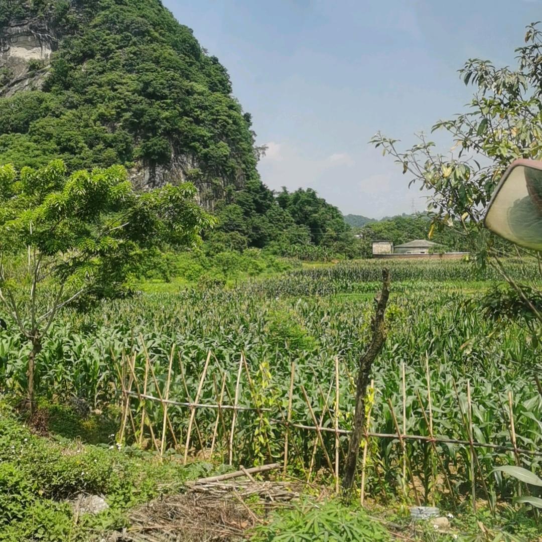 ζั͡ޓއއ不如放纵･ﾉ♡