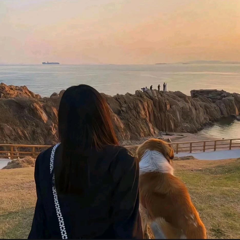 自由的紫皮糖🍬