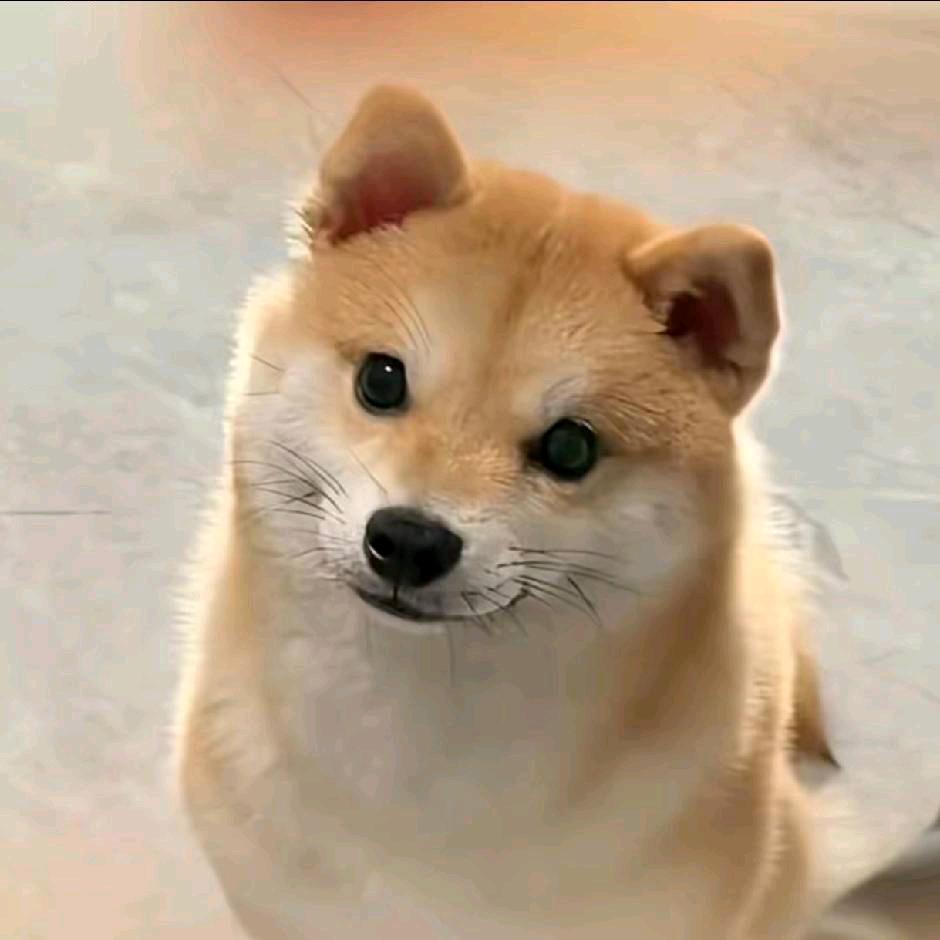 懒羊