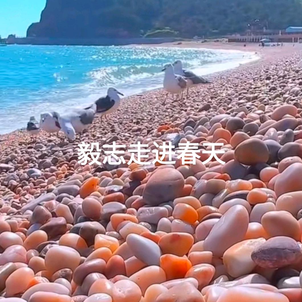 爱分享的郑哥