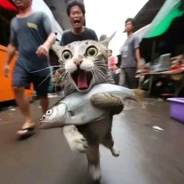 𝑳𝒖𝒓𝒆沙沙水🎣