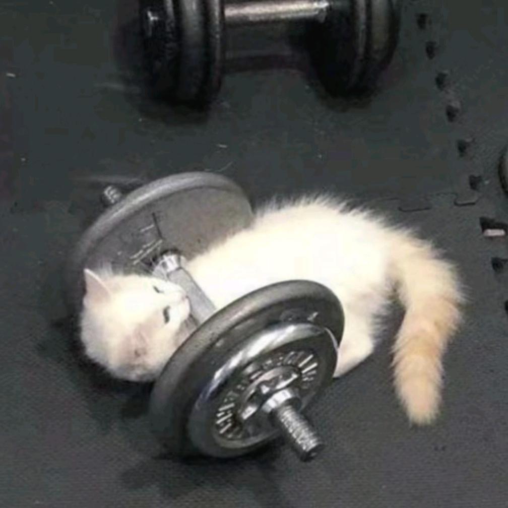 在你眼里撒点灰