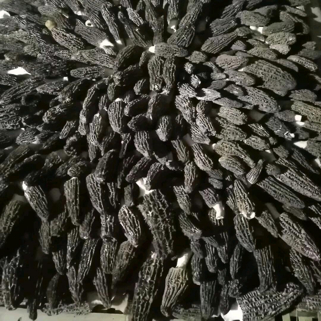 笑看世界，过眼云烟