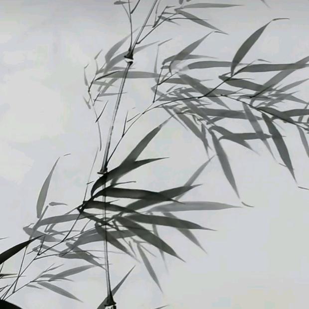 农民大叔爱书法