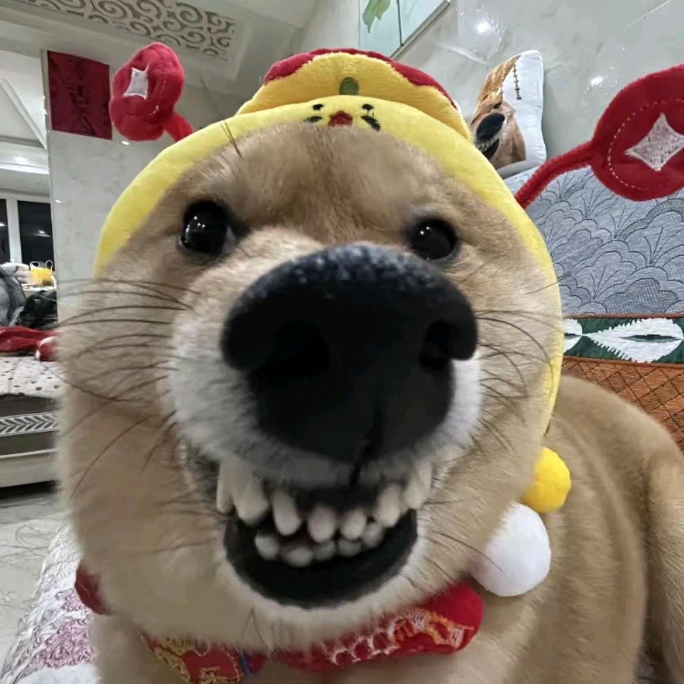 熬什么夜