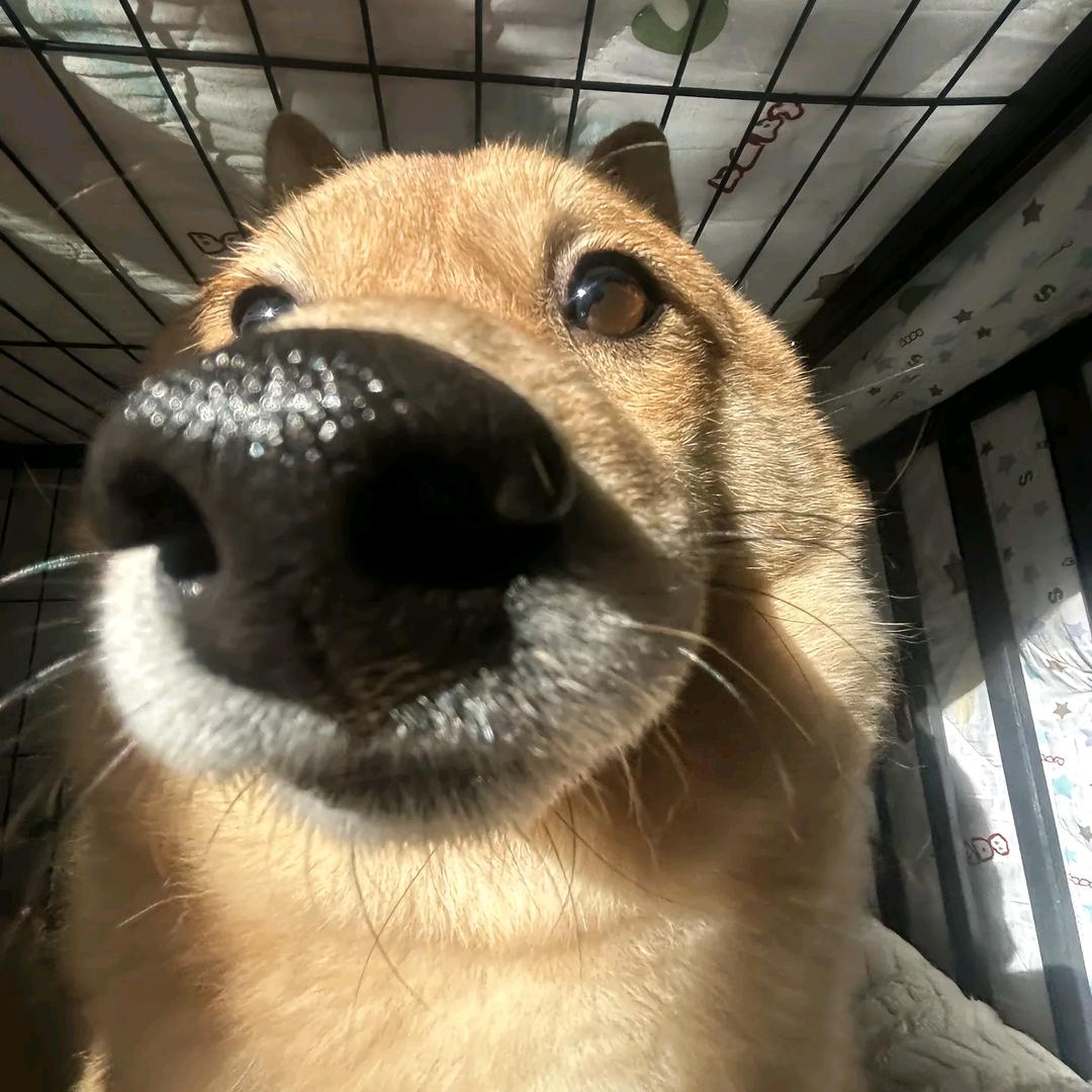 👍👍👍头像