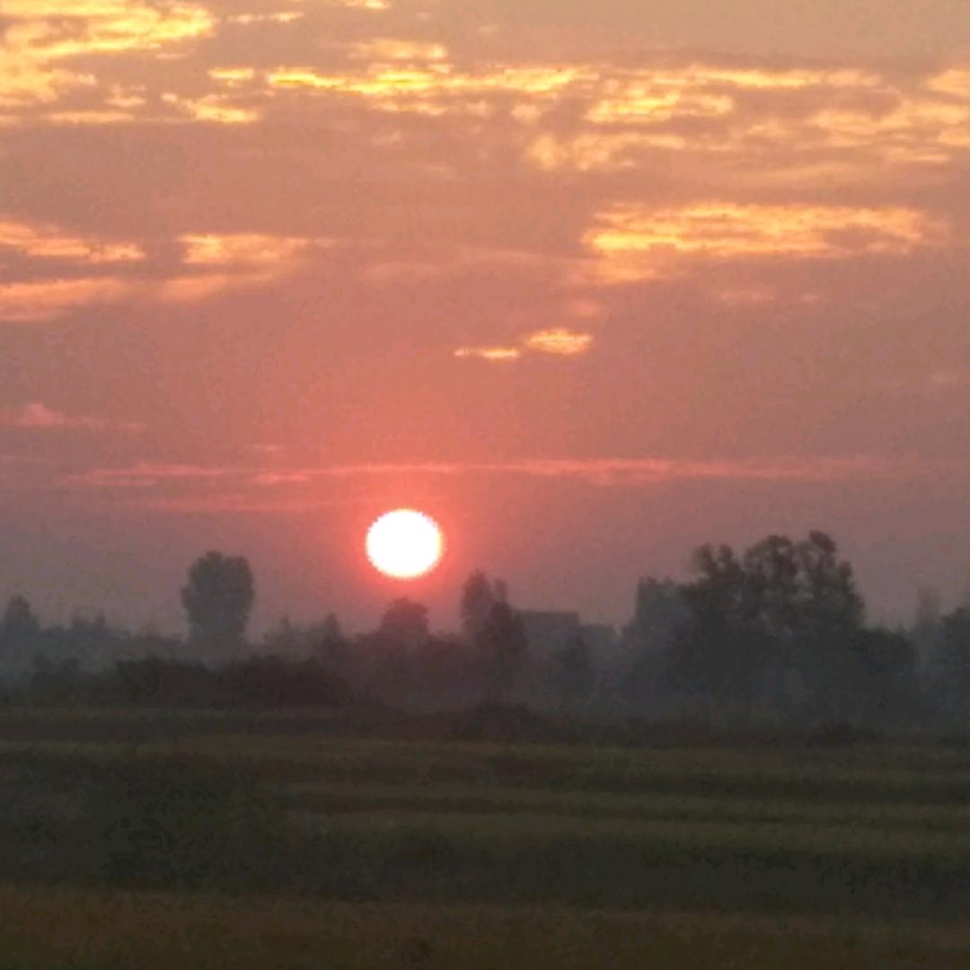 发抖的声音呼唤你