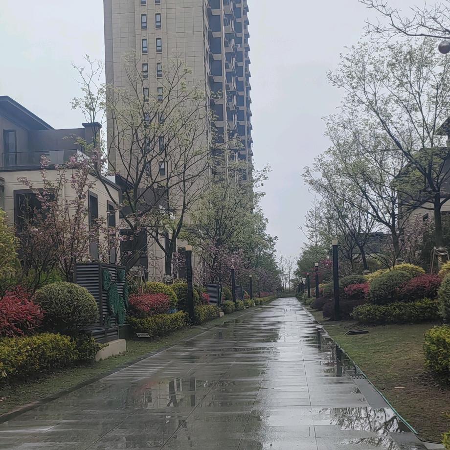 来安县金鸿房地产有限公司