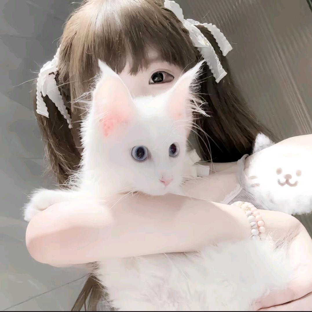 祈雪愿回忆
