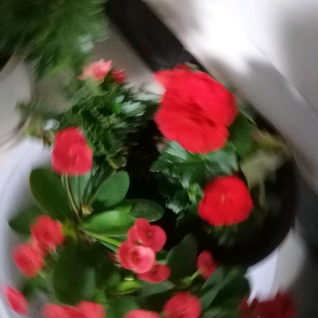 张树清