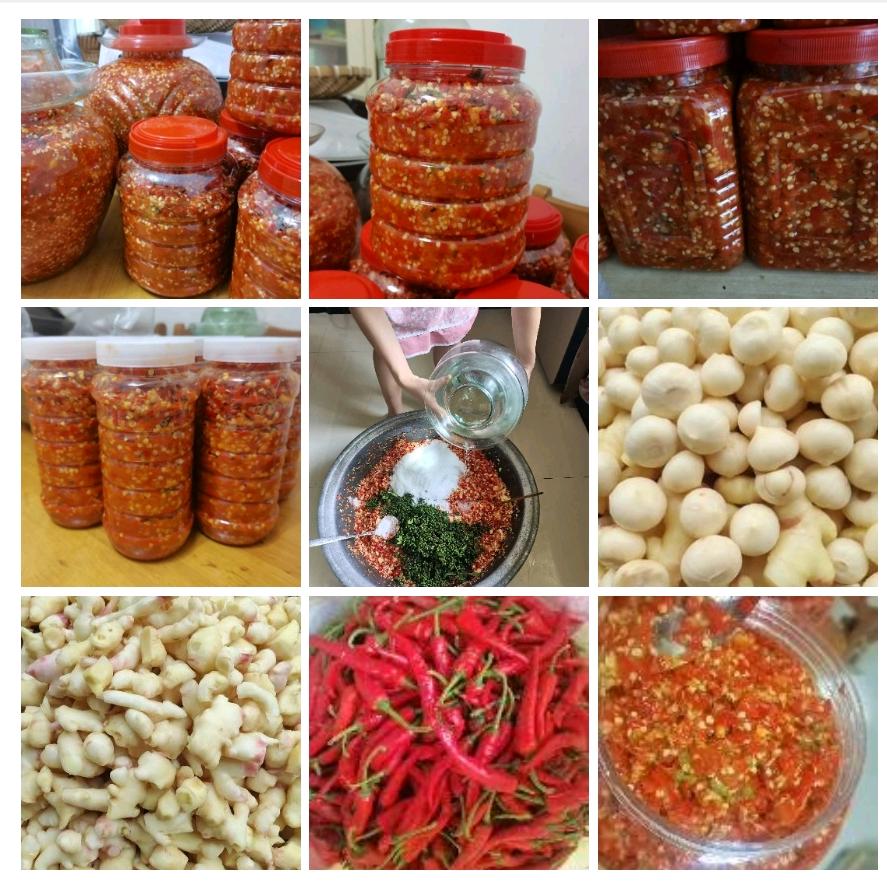 xzq人生就是活过心态