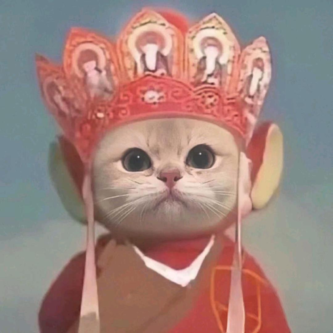 猫咪仙人（三谋）