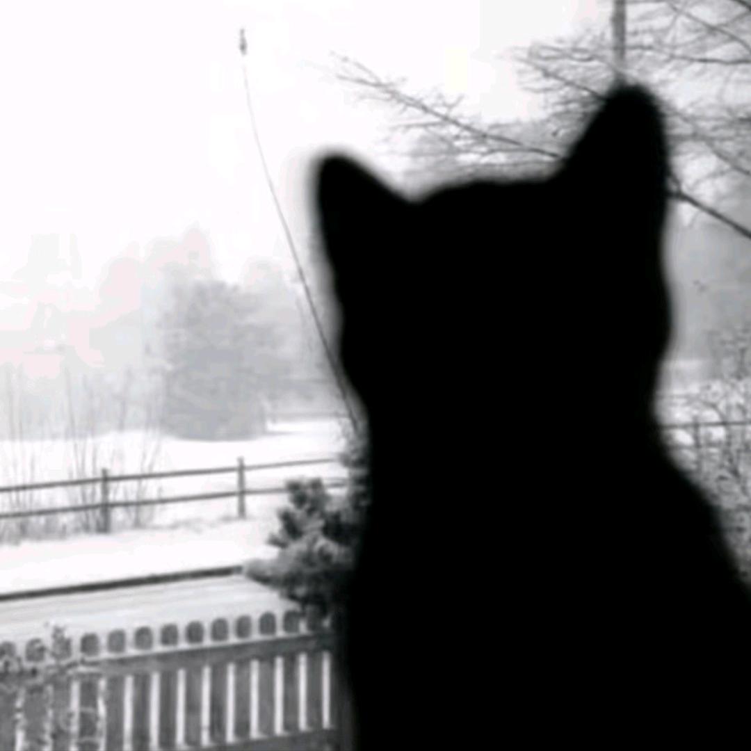 ☃