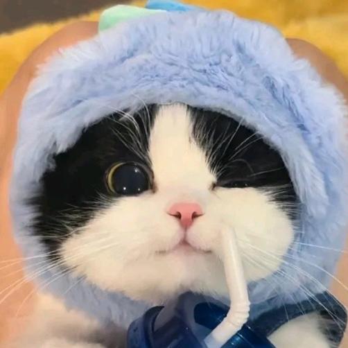 奇迹”