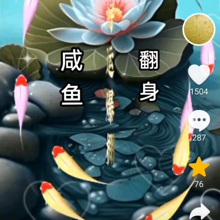 红石榴（摄影）